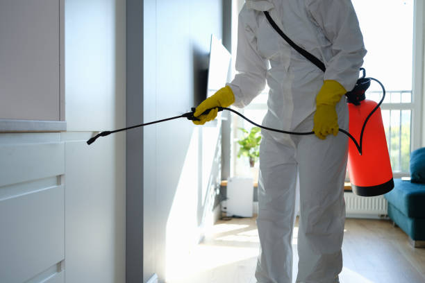 Best Mold Removal Process  in Bodega Bay, CA