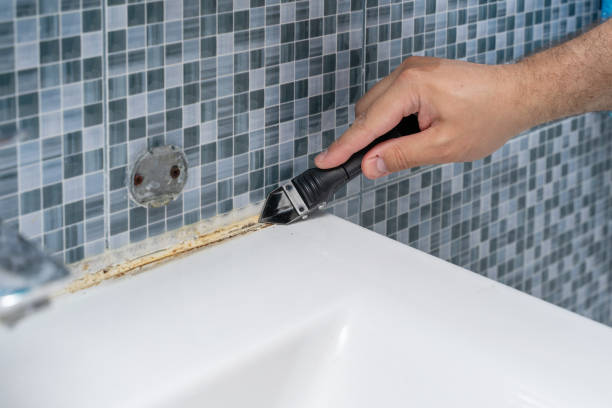 Best Commercial Mold Removal  in Bodega Bay, CA