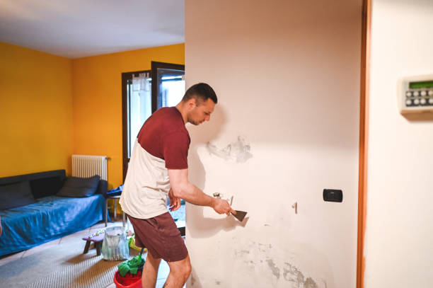 Best Local Mold Removal Service  in Bodega Bay, CA
